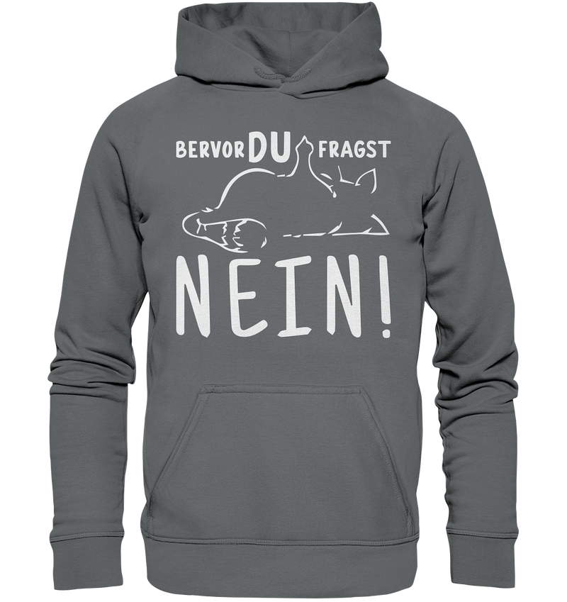 Bevor du fragst - Nein! - Basic Unisex Hoodie