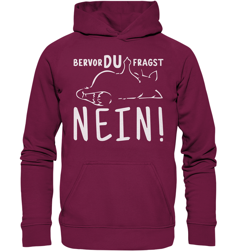 Bevor du fragst - Nein! - Basic Unisex Hoodie